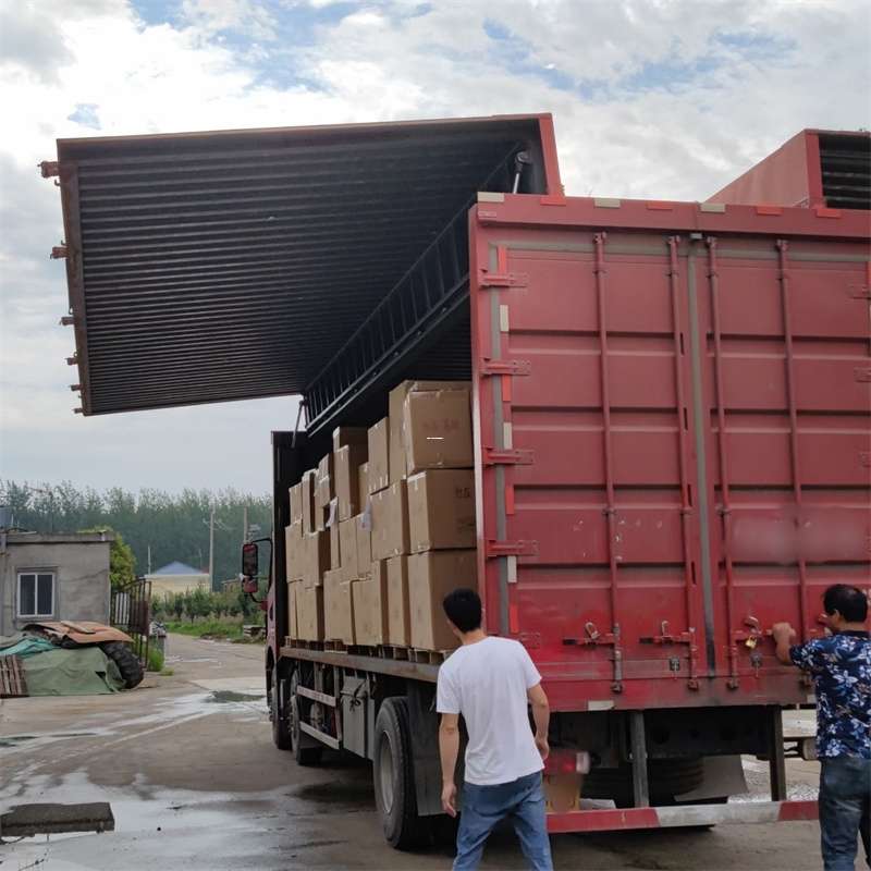 龙江镇扎囊县：物流专线的高效货运之旅